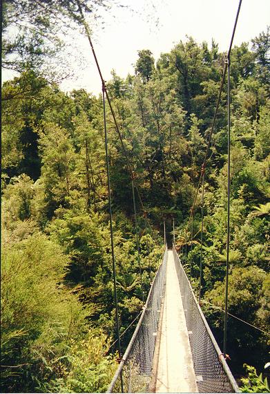 Brücke im Abel Tasman National Park